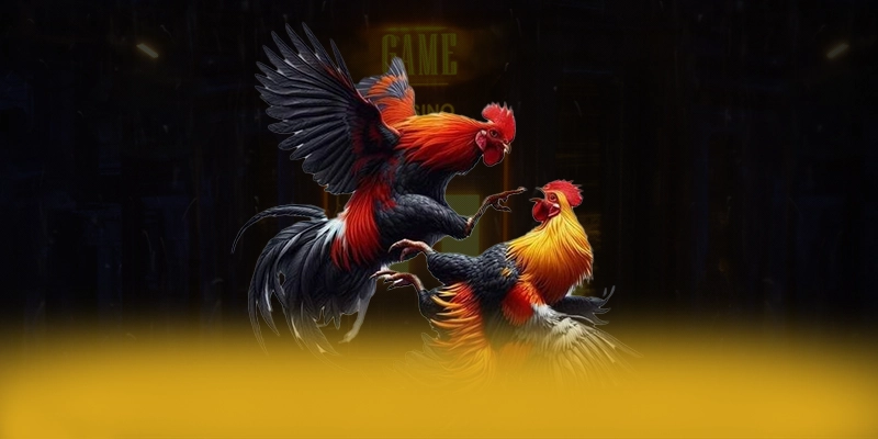 FB88 - Sân chơi có danh mục game hấp dẫn trên thị trường