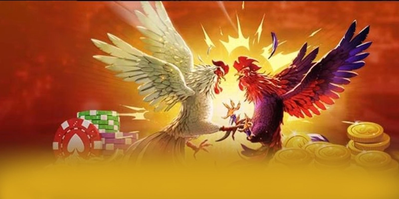 Khuyến mãi khủng dành cho thành viên mới và cũ tại 8XBET