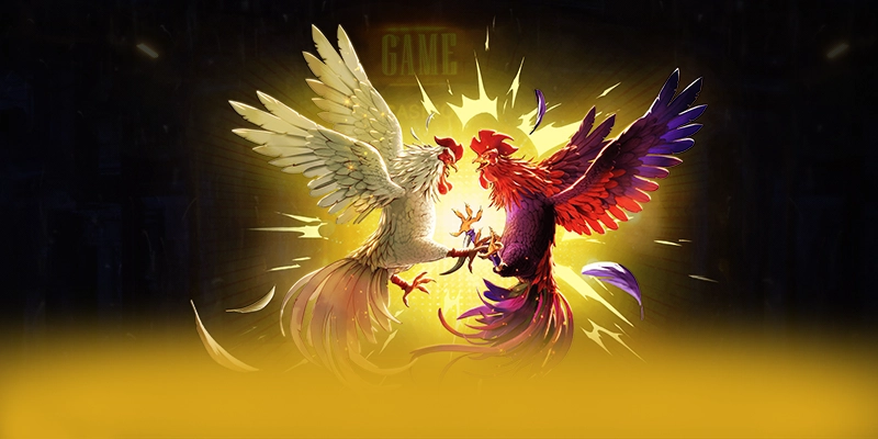 Trải nghiệm trên điện thoại di động cùng 8XBET